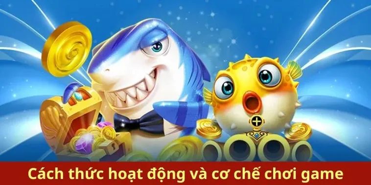 Hướng Dẫn Cách Chơi Bắn Cá Royal Fishing Tại King88 Hiệu Quả Nhất