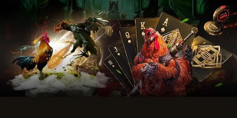 Hướng Dẫn Cách Chơi Đá Gà 3D King88 Dành Cho Kê Thủ Chuyên Nghiệp