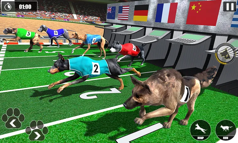 Bí Kíp Chơi Game Nhanh Đua Chó Tại King88 Để Tăng Cơ Hội Thắng 2 Bí Kíp Chơi Game Nhanh Đua Chó Tại King88 Để Tăng Cơ Hội Thắng